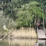 Troll am See