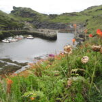 Boscastle 01