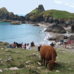 Küste 01