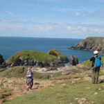 Lizard Point 01
