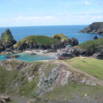 Lizard Point 03