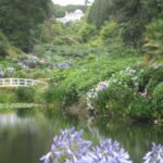 Trebaha Garden 01