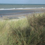 Domburg Dünen und noch Meer