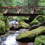Holzbrücke-Ravennaschlucht-1024x733